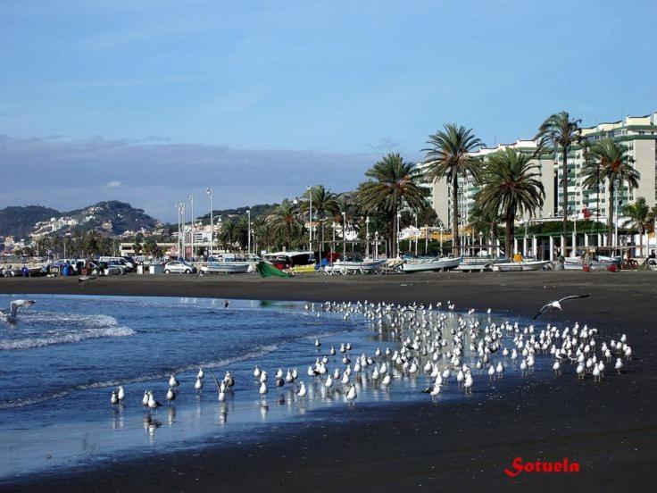 Apartamento El Dorado Cerca Del Mar Малага Экстерьер фото